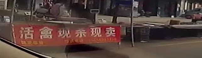 水水果批发零售