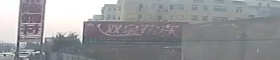 双泉花卉