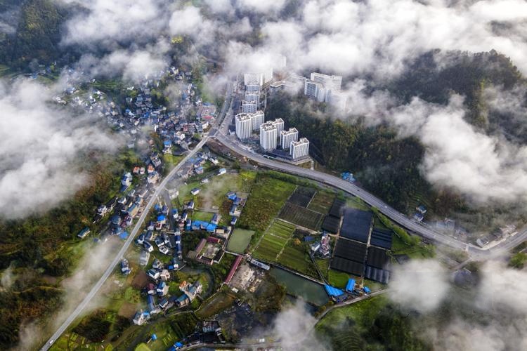 三岔坪村