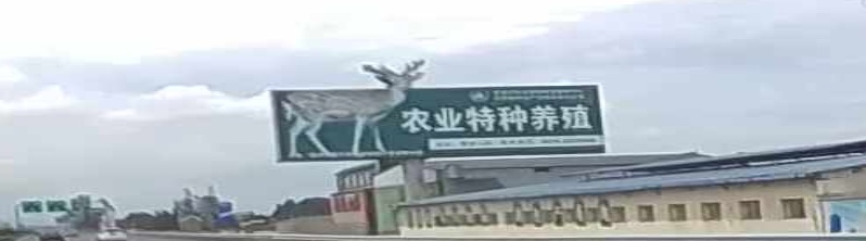 云南省路良市蚕种场