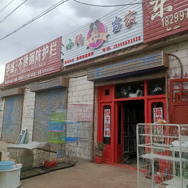 小狗当家宠物店