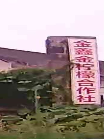 四川省资阳市安岳县岳源乡金鑫金柠檬合作社