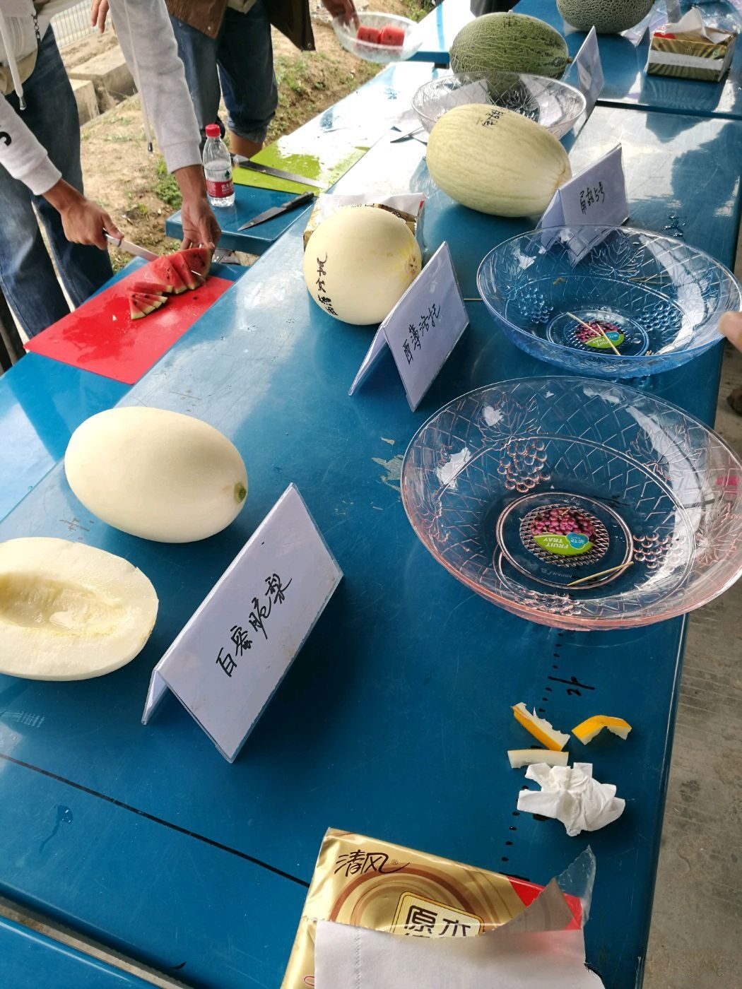 南繁科学技术研究院技术服务部