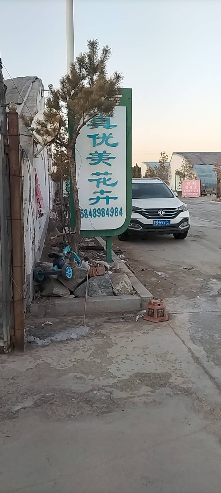 真优美花鸟批发