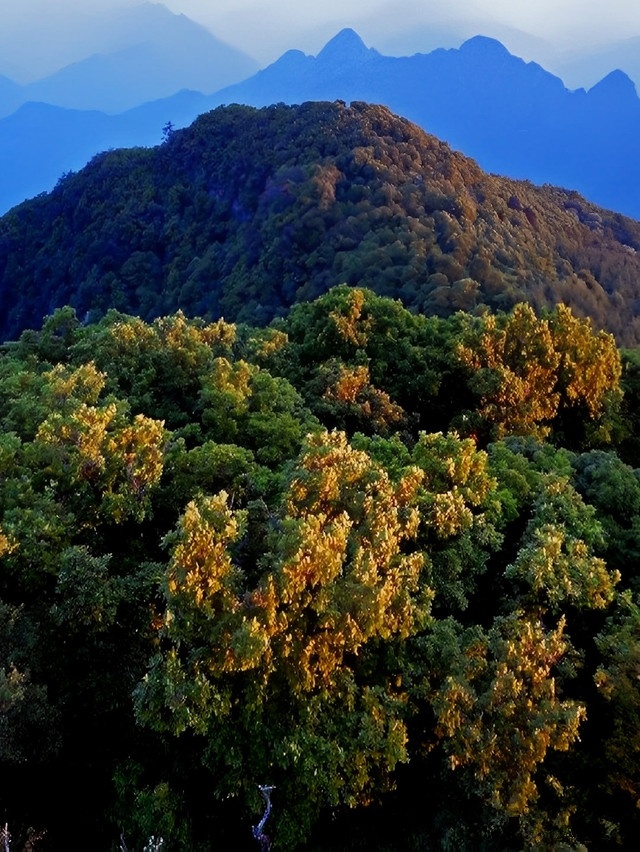 历山镇