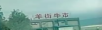 羊街牛市