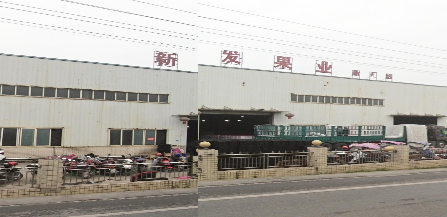 新发果业