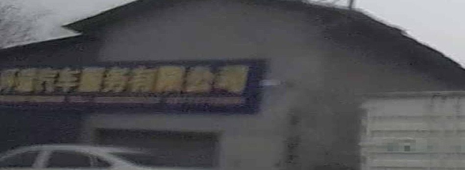 环瑞汽车服务有限公司