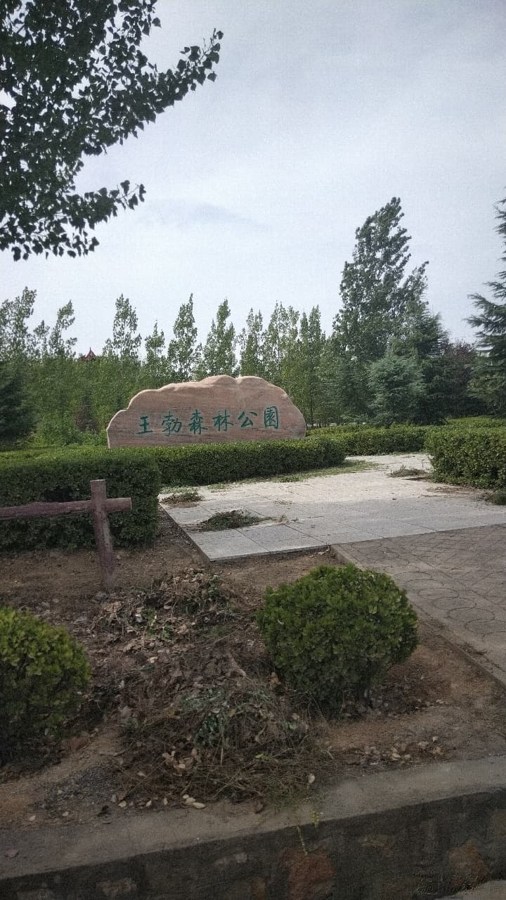 王勃森淋公园园