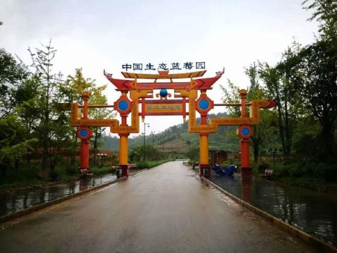 黔东南州麻江蓝莓生态旅游区