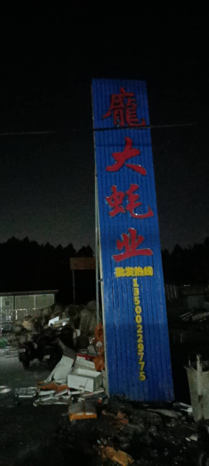 庞大蚝业
