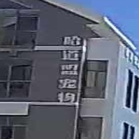 哈道盟高端宠物生活会所·技术培训(哈道盟宠物美容师培训)
