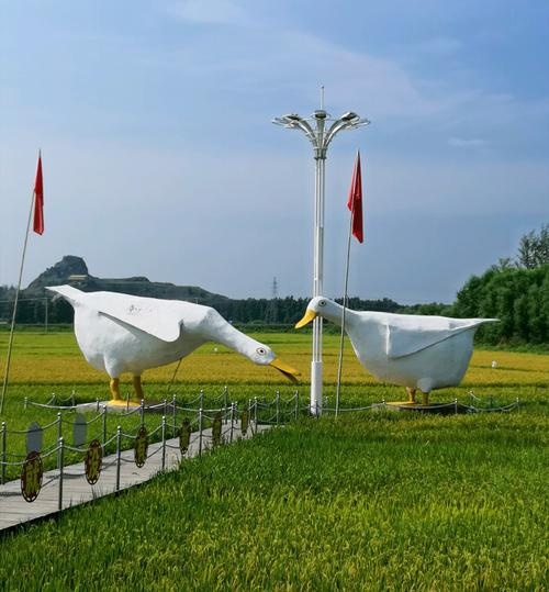 双闪鸭场
