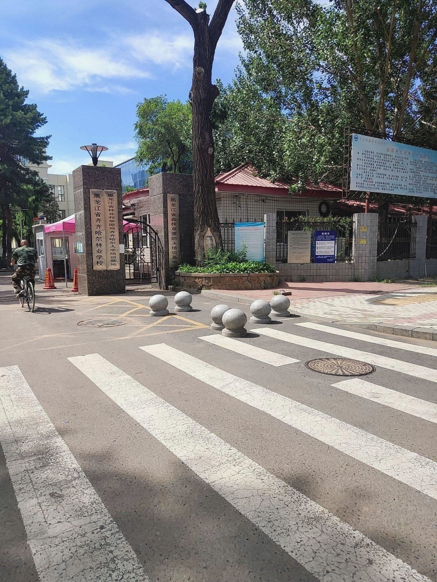 黑龙江省齐齐哈尔林业学校