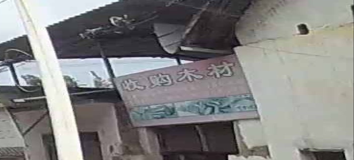 收购木材