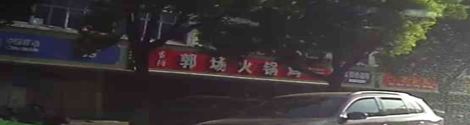 当阳郭场火锅鸡(黄陂大道店)