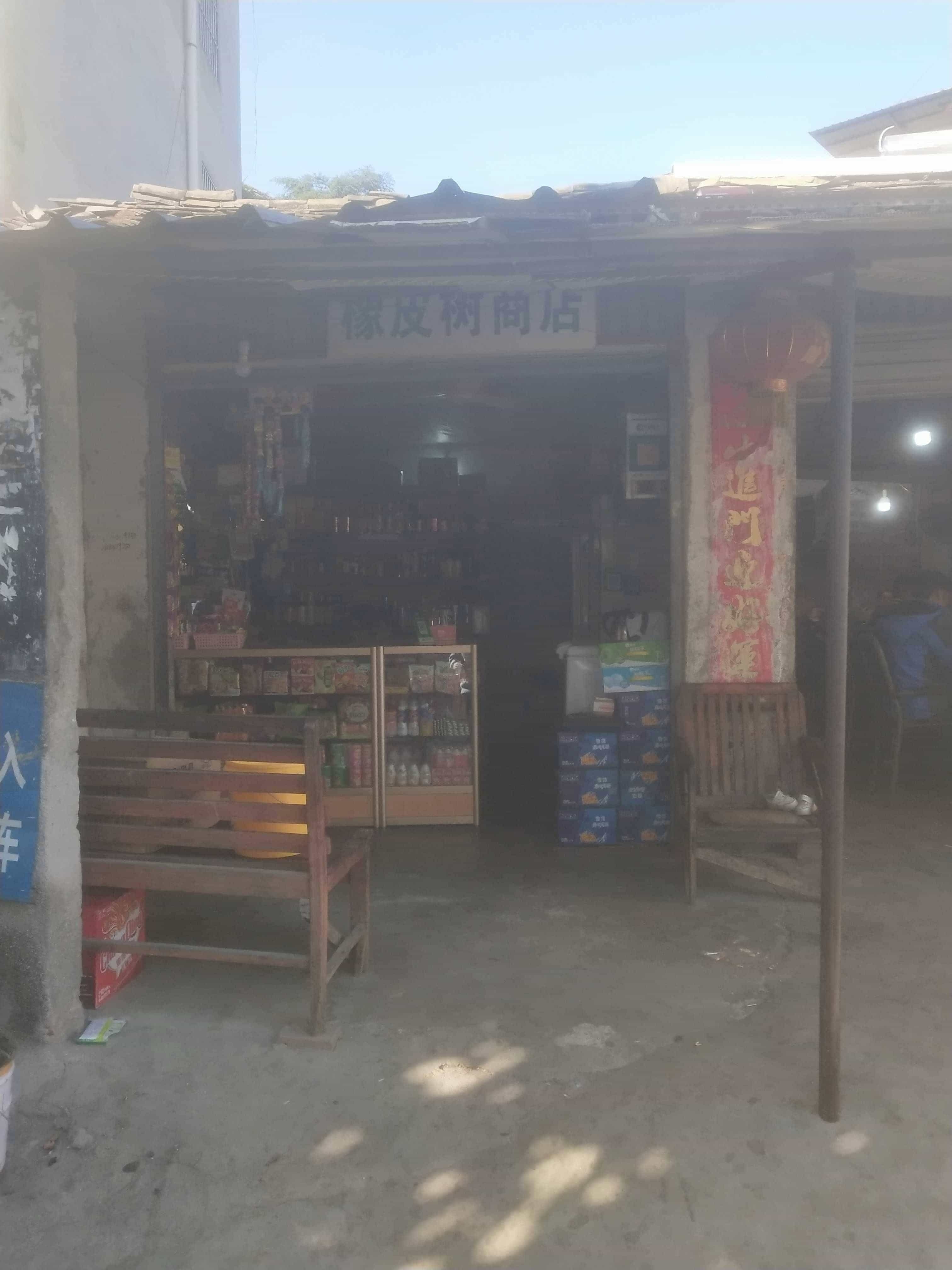 坛罐窑橡皮树商店