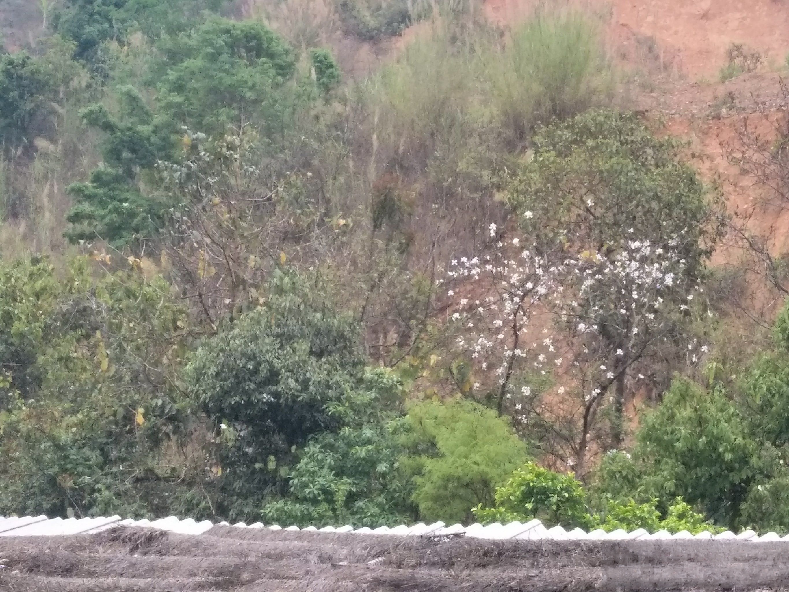 澜沧拉祜族自治县体育场