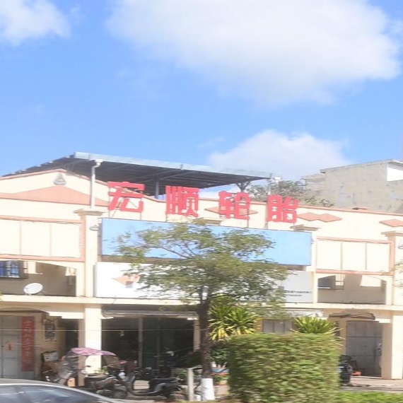 宏顺轮胎(八一店)