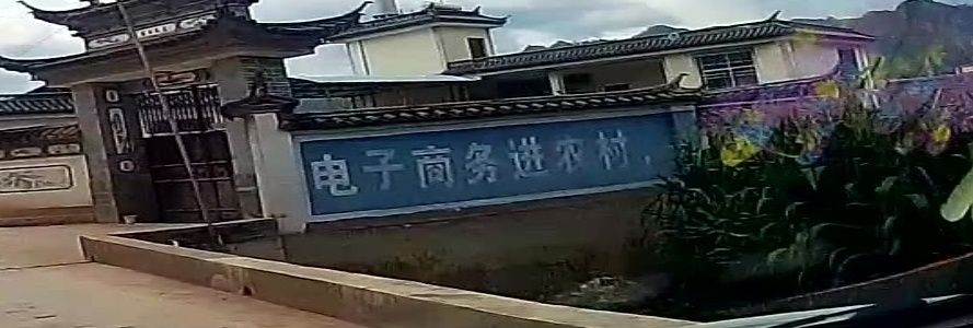 大龙村电商服务站