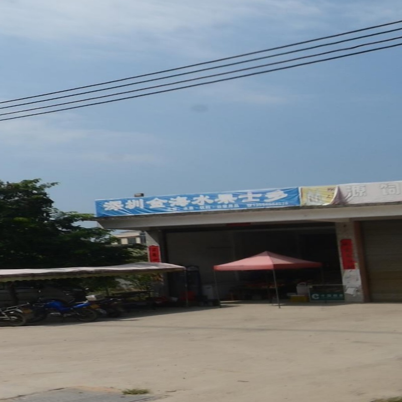 莫金海水果店