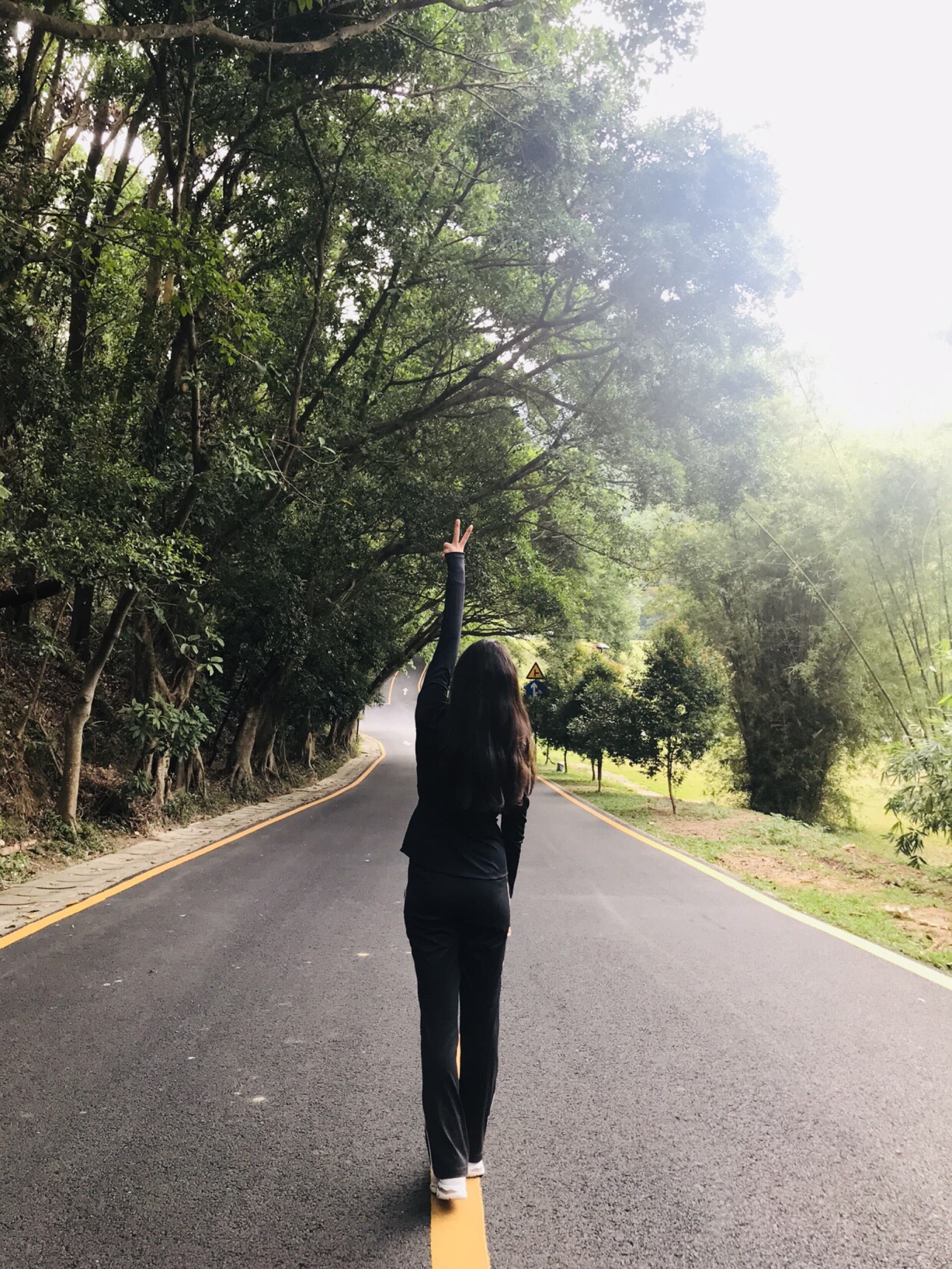 深圳仙湖植物园-棕榈植物区