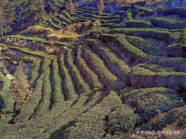 李山村生态园