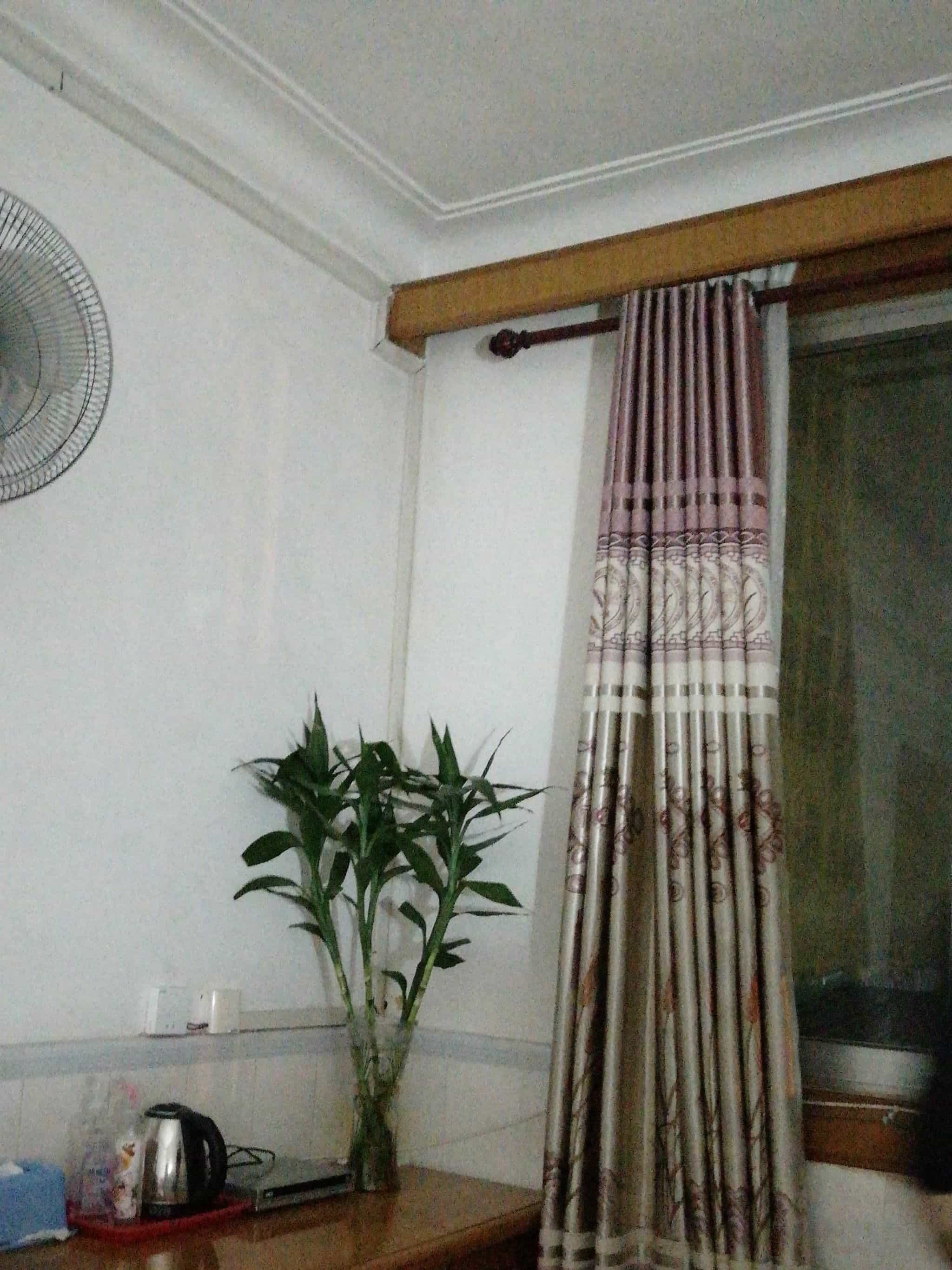 辰飞职业推拿按摩所