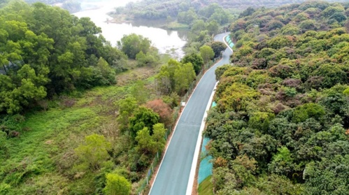 龙华环城绿道(大水坑段)