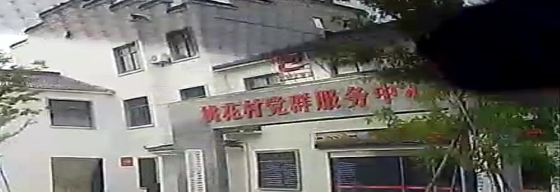 桃花村党群服务中心