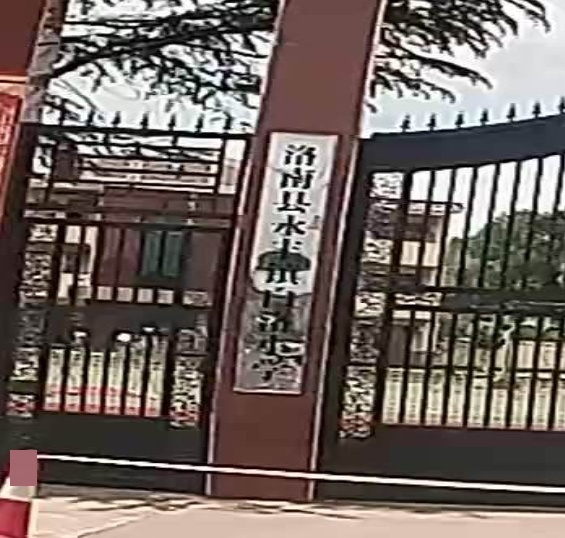 白洛小学