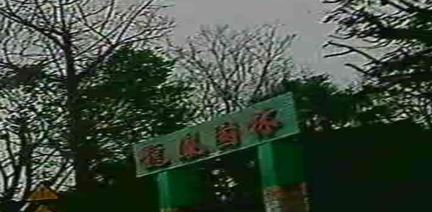 龙凤园林