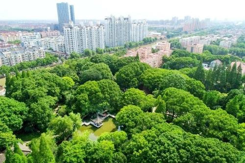 惠南中心公园