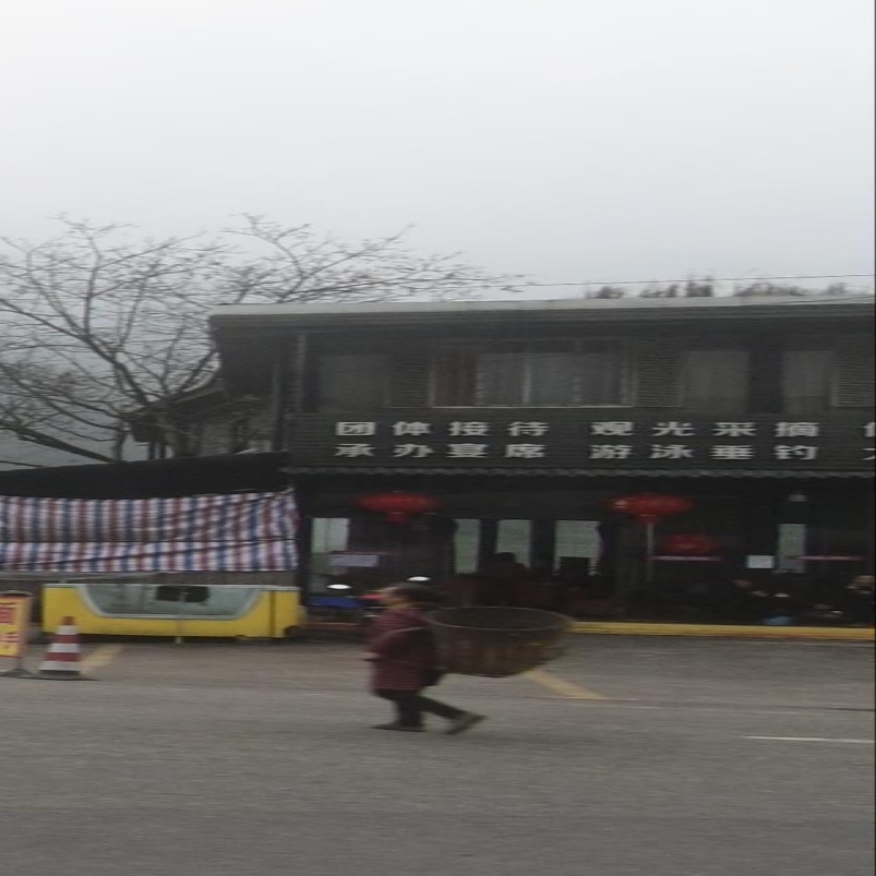 游泳垂钓
