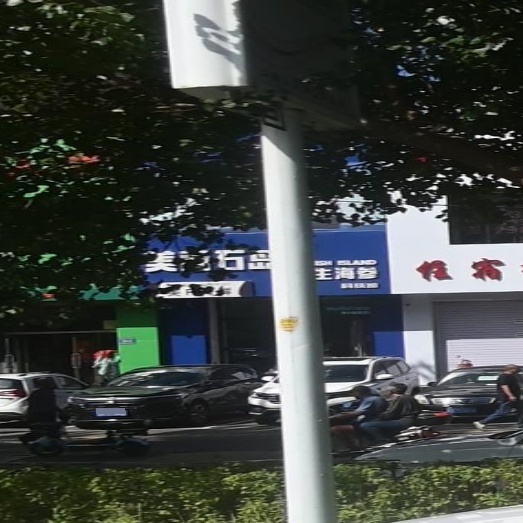 美丽石岛海参
