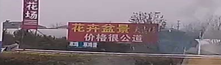 花卉盆景大卖场