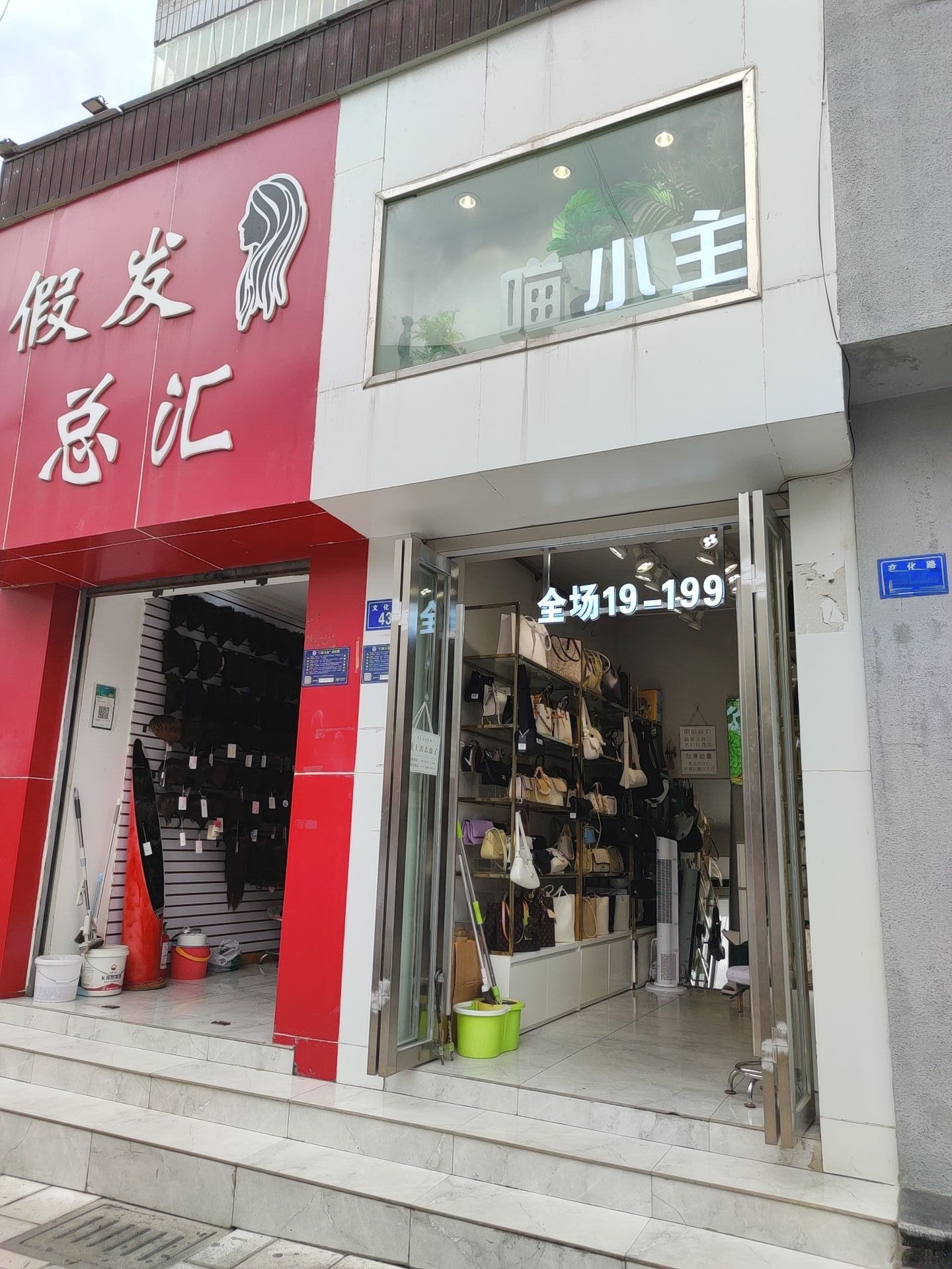 喵小主