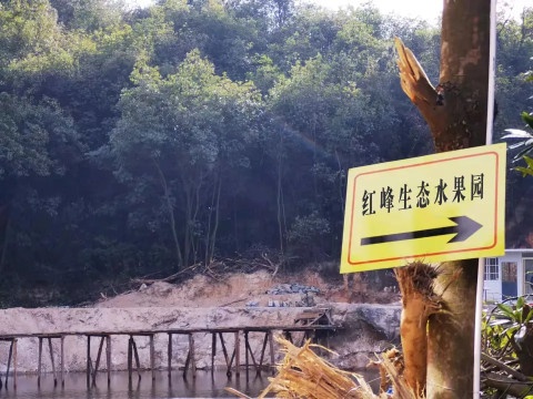 五指山红峰生态水果园