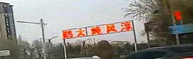 淳风炖取大鹅烧烤