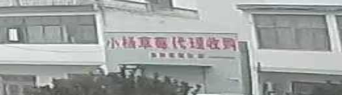 小杨草莓代理收购