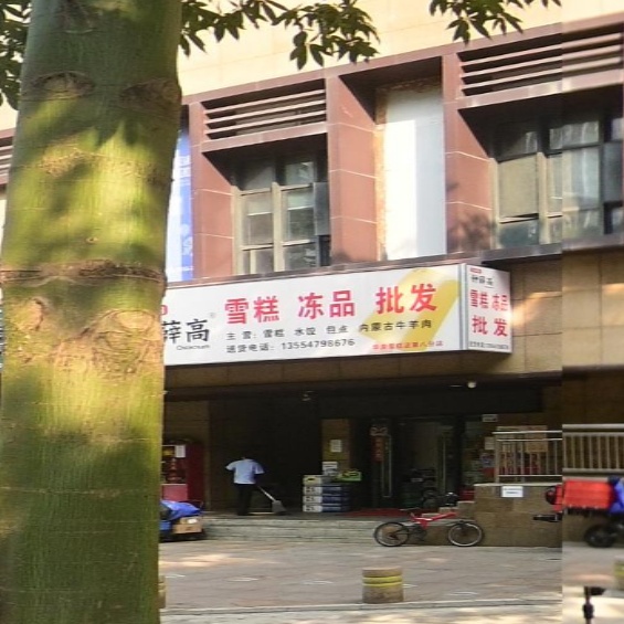 钟薛高雪糕冻品批发