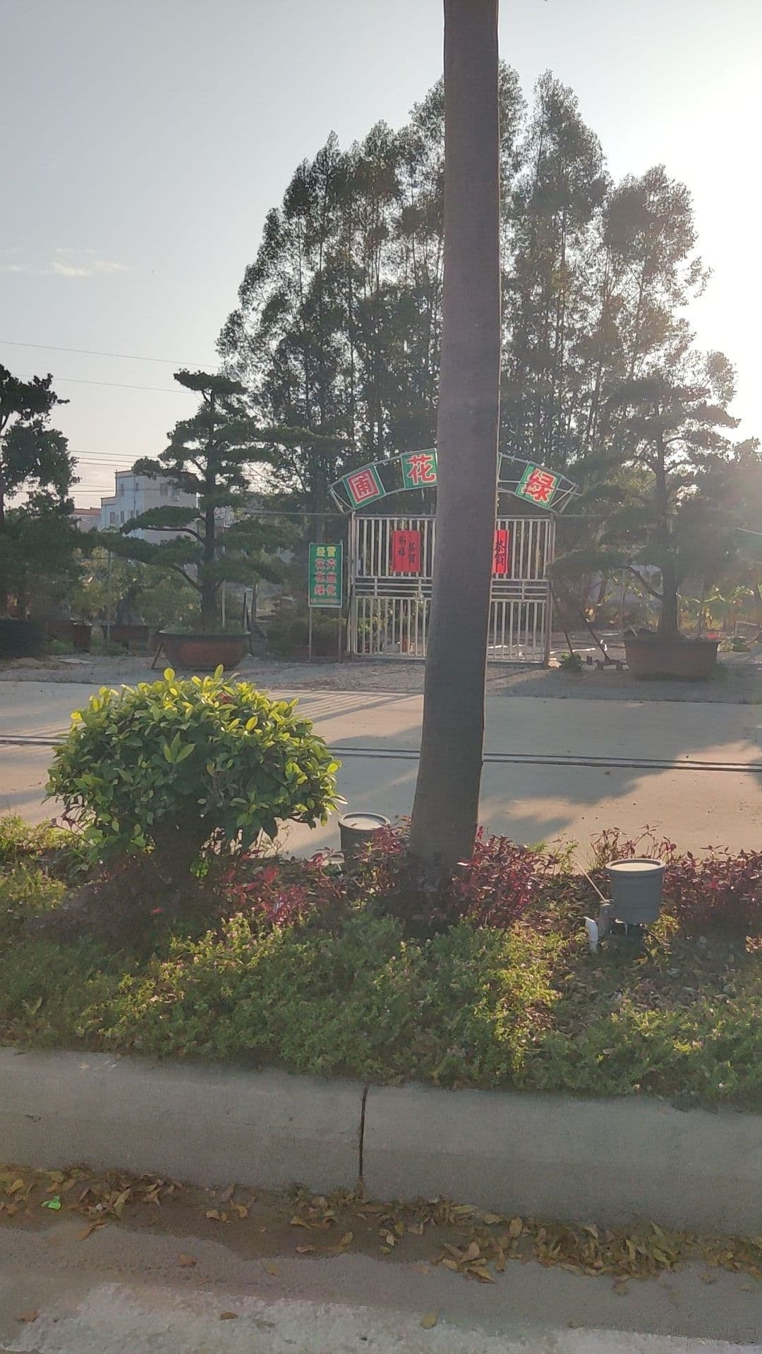 绿缘花圃