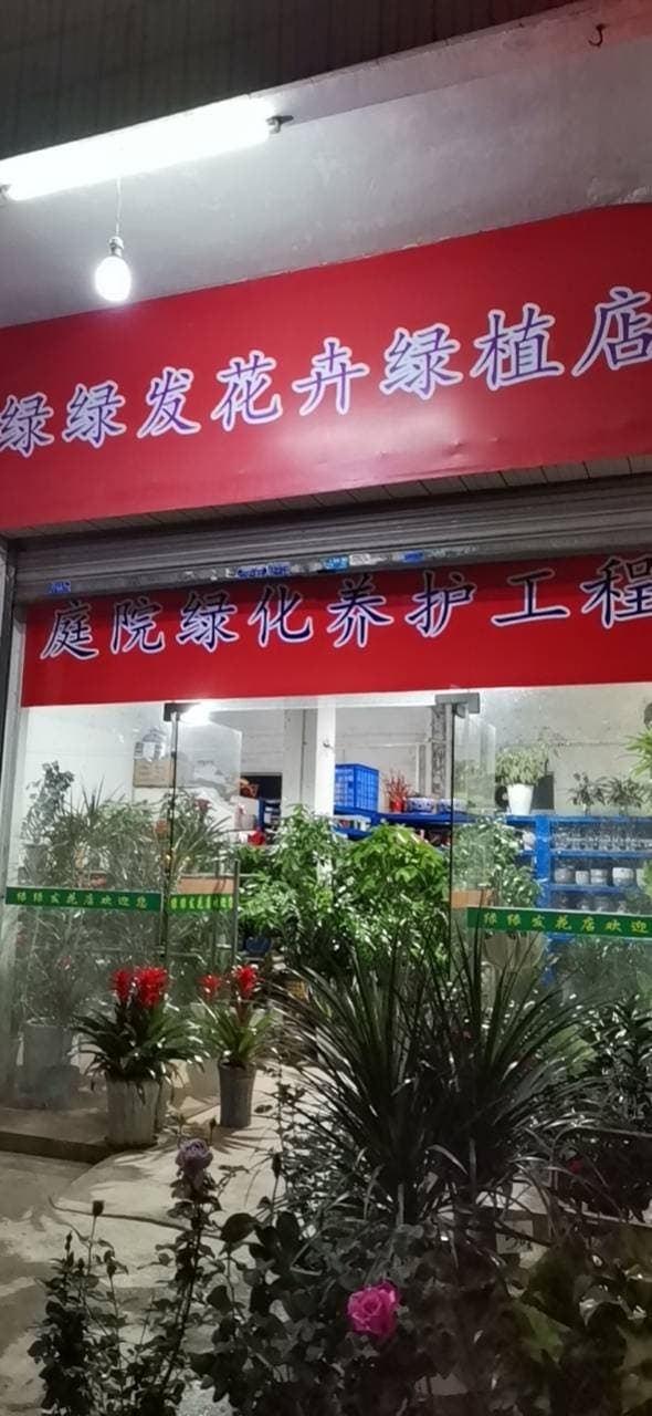 绿绿发花店