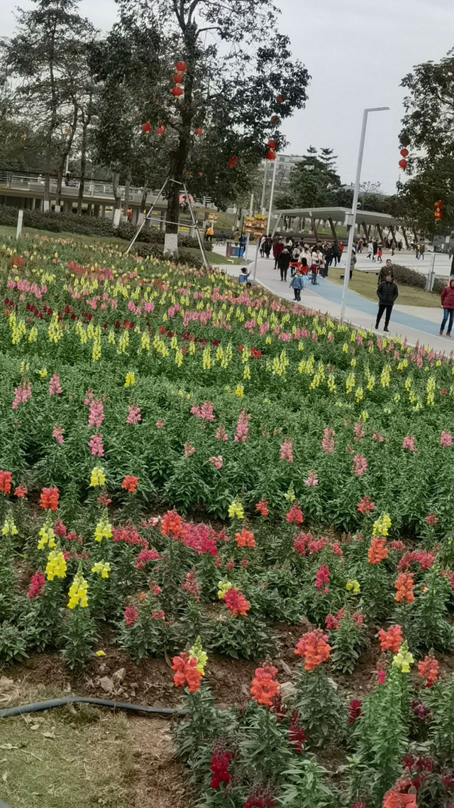 三山荷花湿地公园