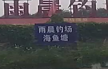 雨晨钓场
