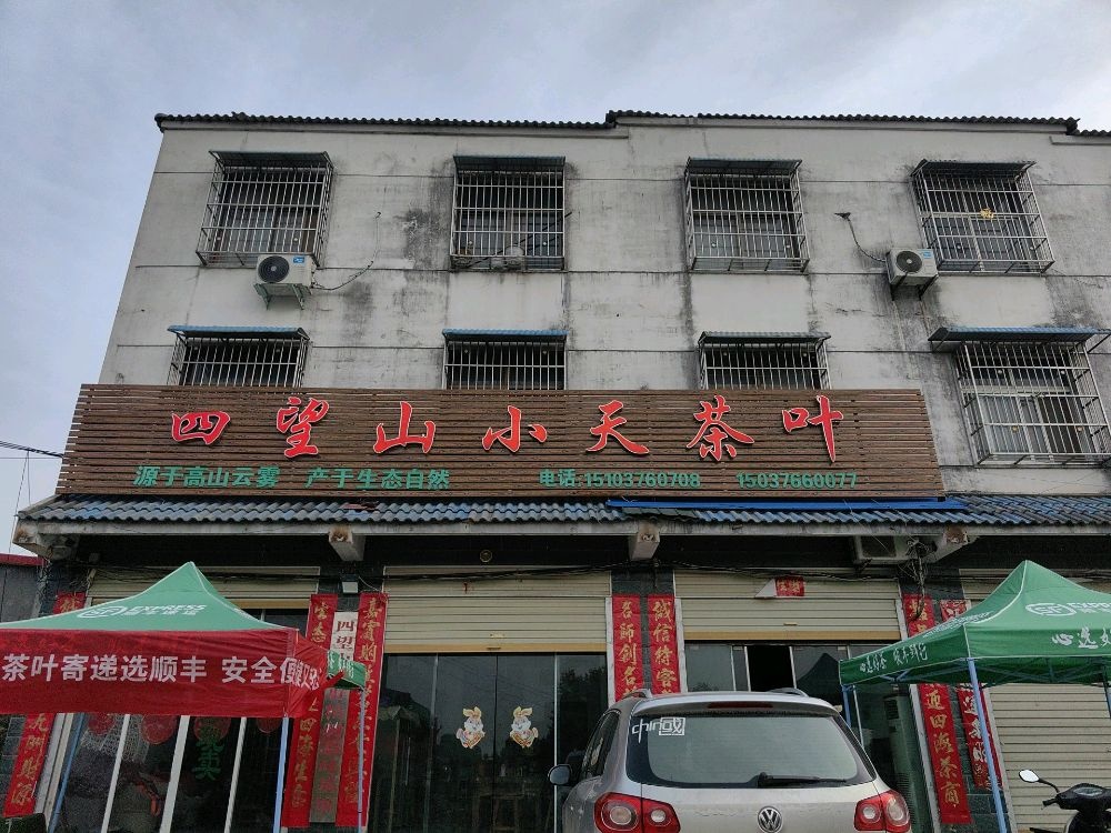 四望山小天茶叶