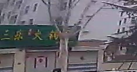 三乐火锅(温泉路店)