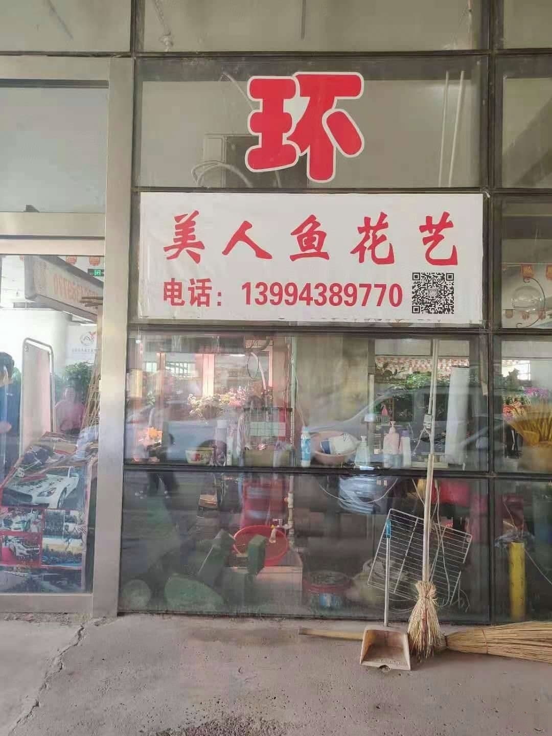 美人鱼花店