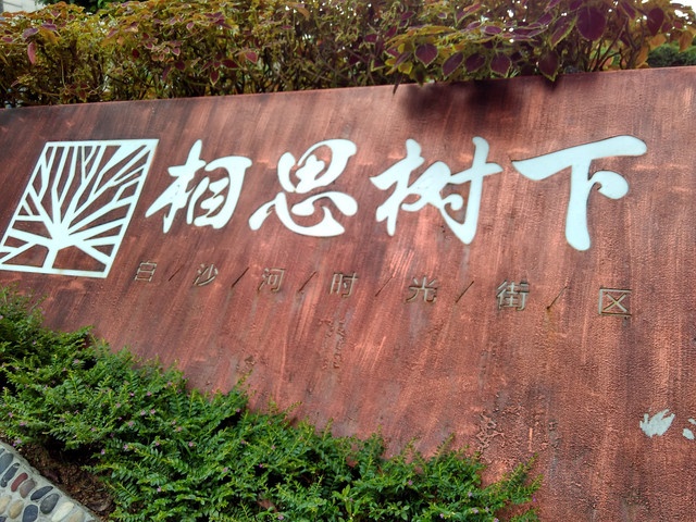 珠海相思树民宿(华美路分店)