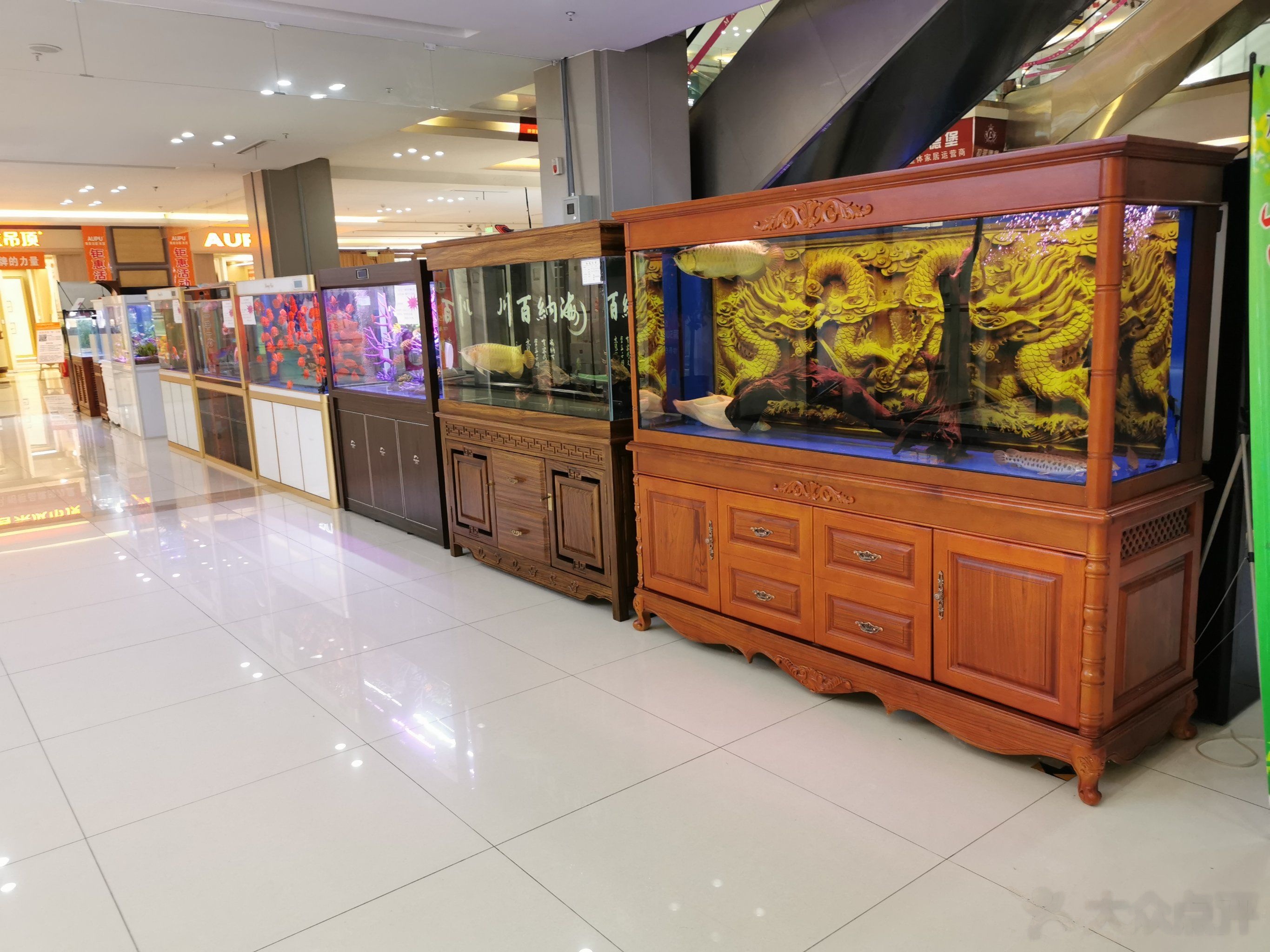 九龙水族(红星美凯龙店)